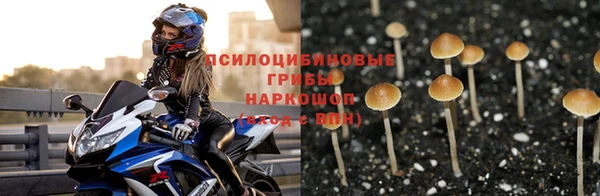 сатива Осташков