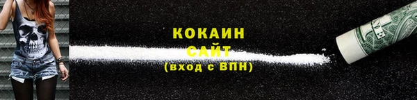мдпв Осинники