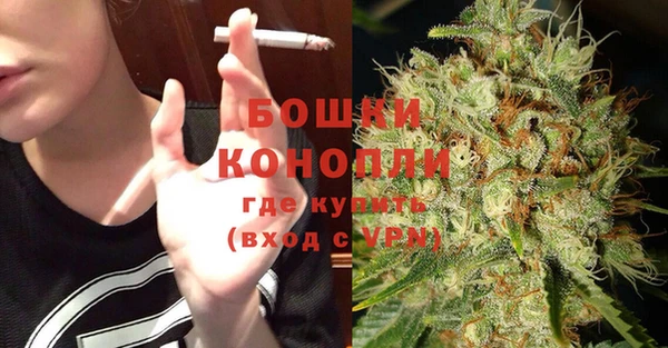 сатива Осташков