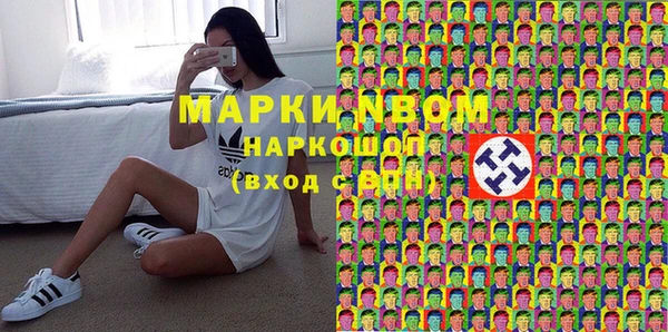 амф Пестово