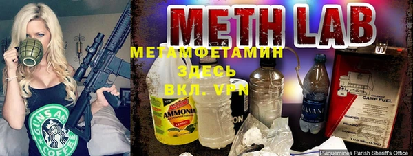 сатива Осташков