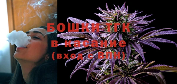 сатива Осташков