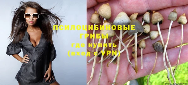 apvp Пересвет
